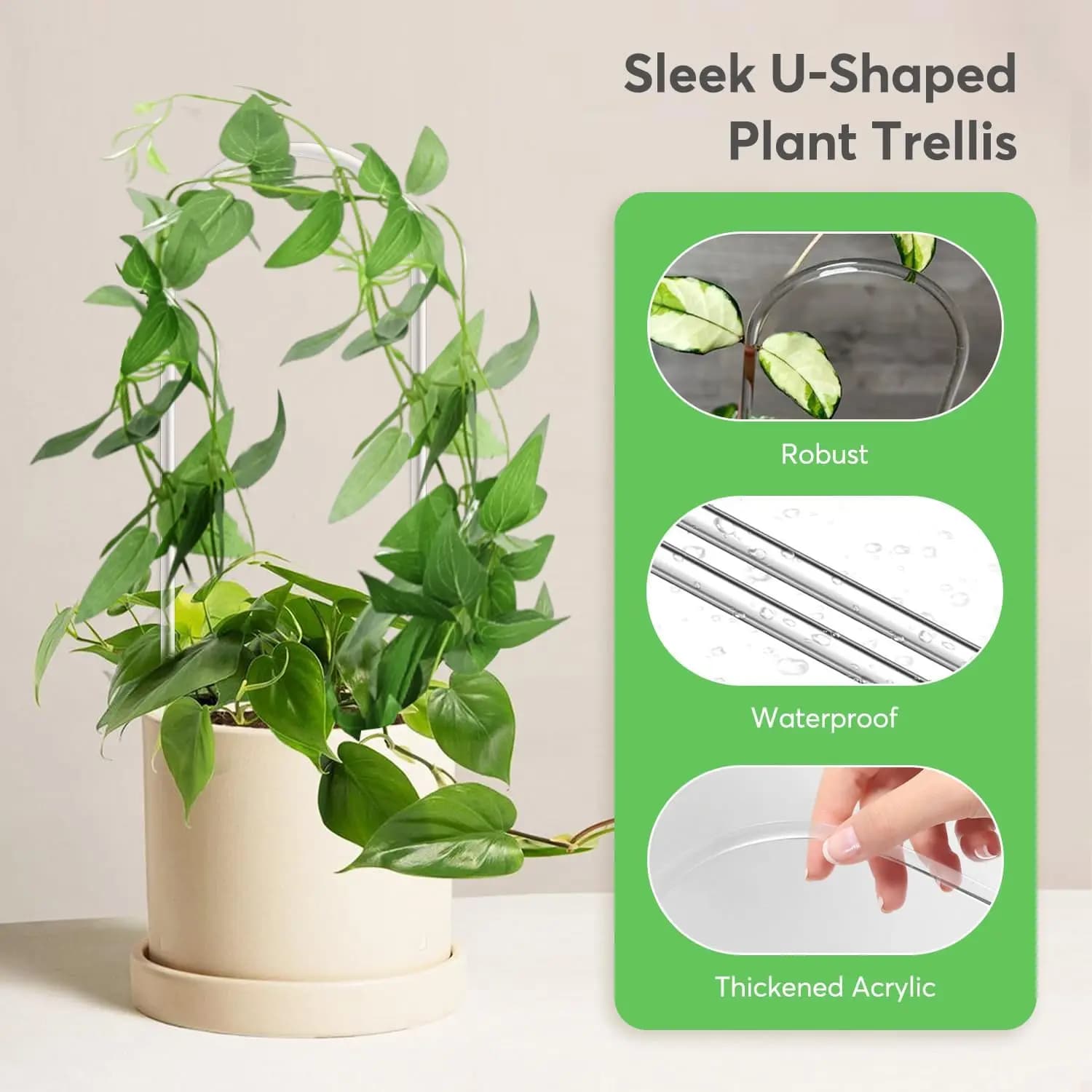 Cadre d'escalade pour plantes en acrylique transparent en forme de U, structure de support spécialem