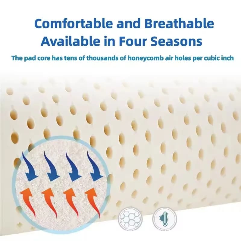 Dessus de matelas liquide en Latex haut de gamme, 100% Latex naturel, tapis Thiland pliables à rebon