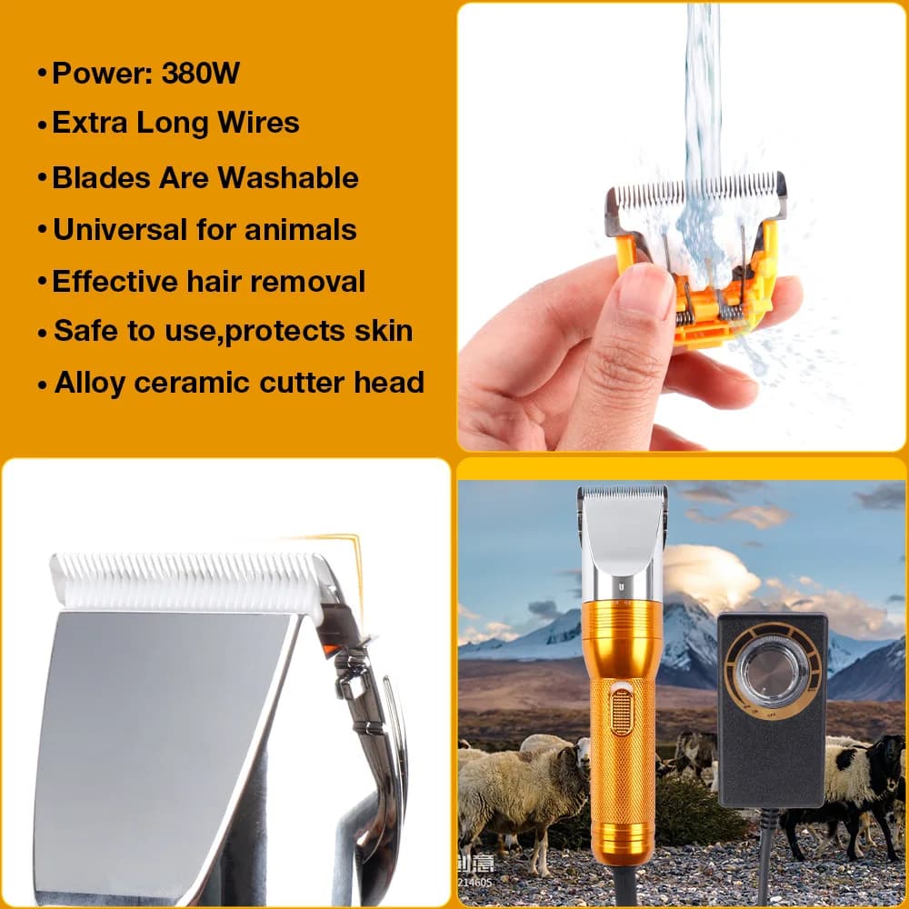 Tondeuse électrique haute puissance 380 W Tondeuse à fourrure pour animaux domestiques Tondeuse à po