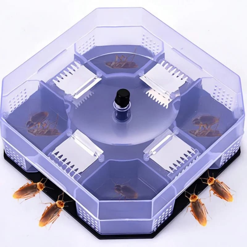 Piège à cafards 1 pièce/sans appât ; outil de capture d'insectes; boîte à cafards; piège à cafards p