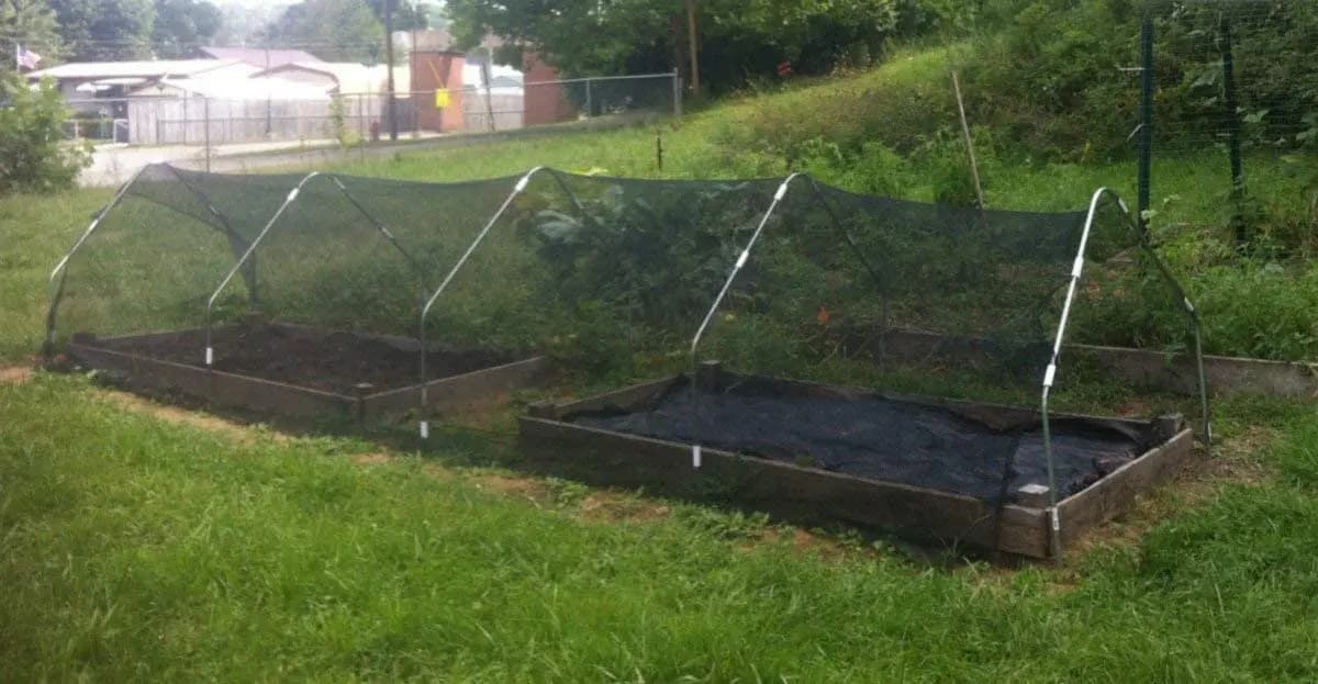 Bord coupé en tissu avec cilps gratuits, grille d'ombrage 50%, crème solaire, couverture de plantes 