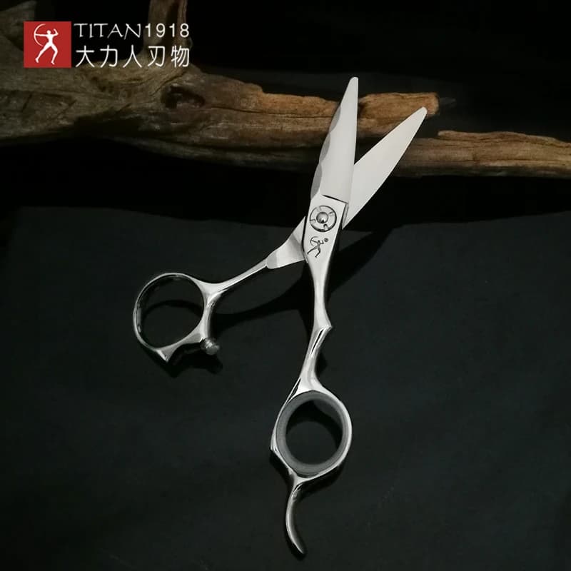 TITAN japon Original professionnel ciseaux de coiffure professionnel barbier ciseaux ensemble coupe 
