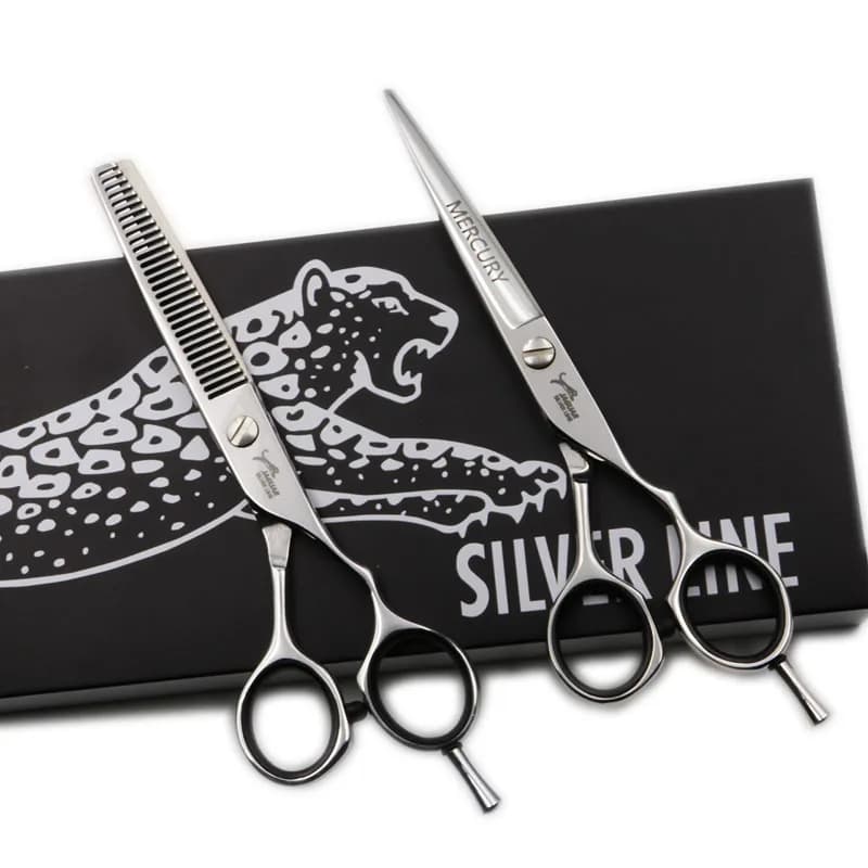 Ciseaux à cheveux professionnels 5/5,5/6/6,5 pouces – Kit de coiffure de haute qualité (ciseaux de c