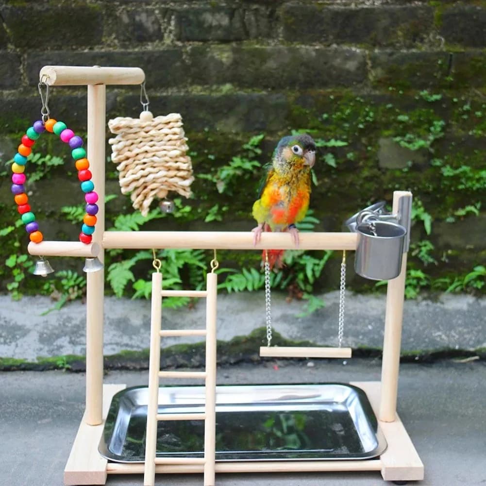 Aire de jeux pour oiseaux, support de perche, tasses d'alimentation, balançoire, échelle d'escalade,