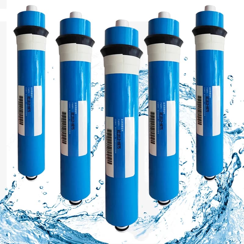 Membrane de remplacement pour système d'eau, barrage de cuisine, osmose RO, filtre supporter ficateu