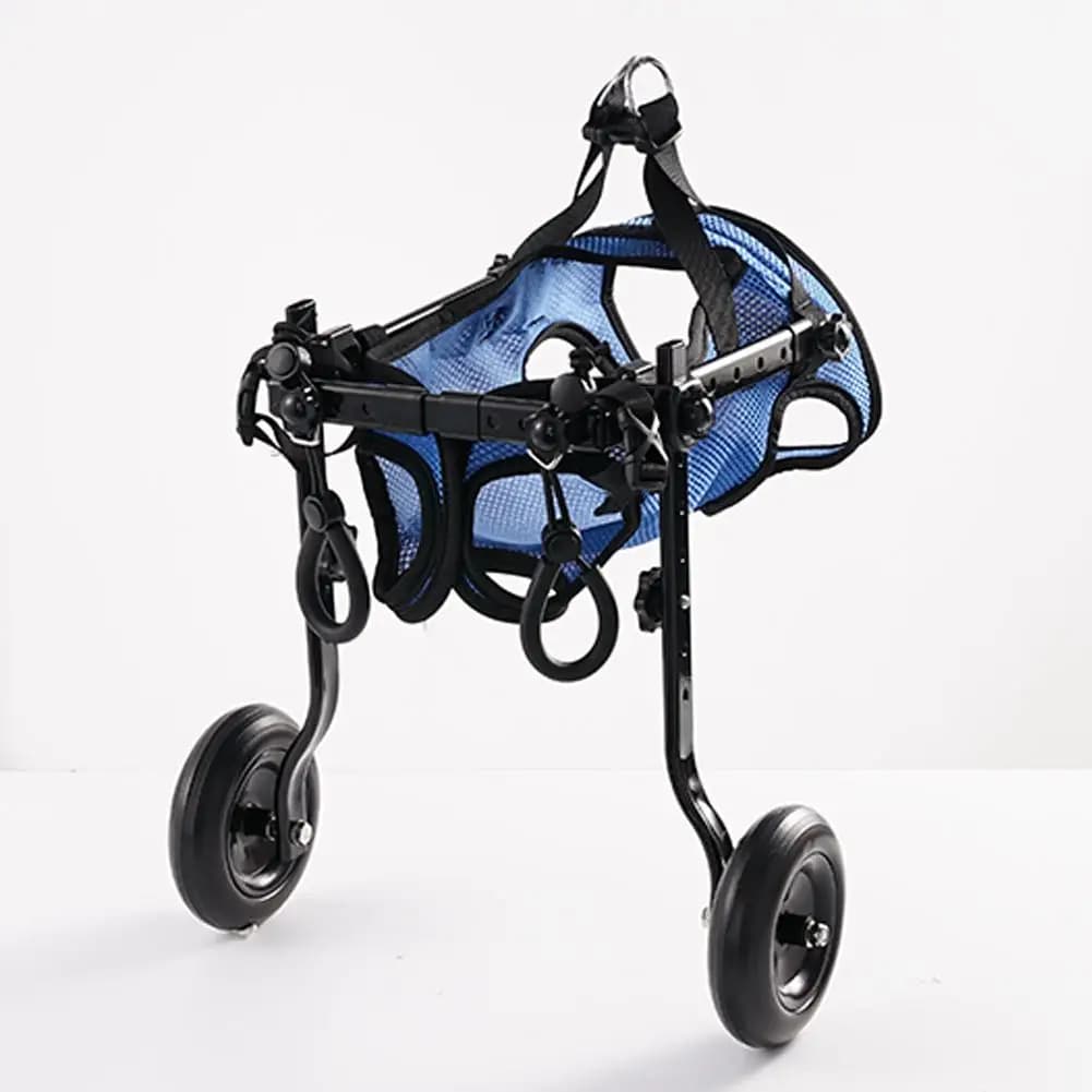 Chariot pour animaux de compagnie, jambe arrière réglable, aide à la mobilité pour chien handicapé, 