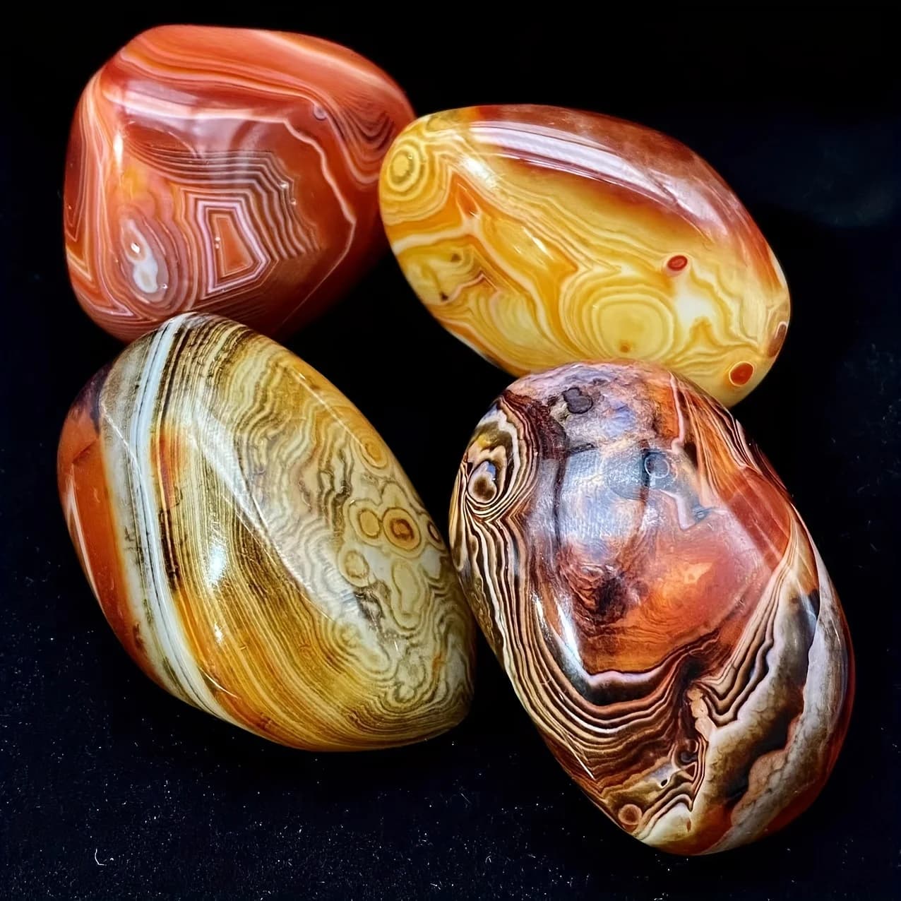 Palmier naturel aléatoire de Sardonyx, pierre de palmier d'agate polie naturelle, cristal de guériso