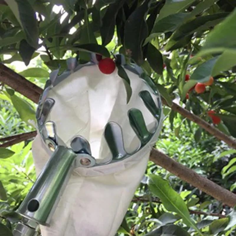 Outil de cueillette de fruits, outil de cueillette de cerises en métal, tête de panier de cueilleur 