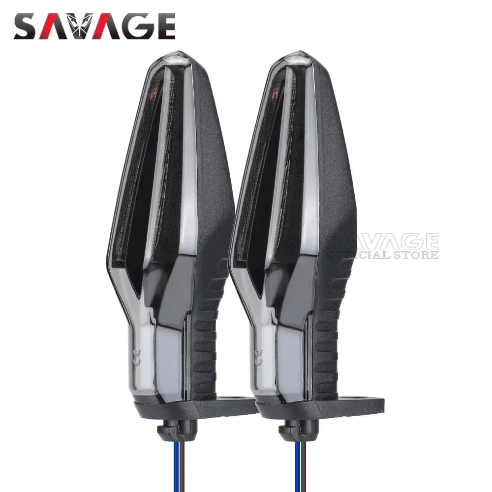 Clignotant LED directionnel pour moto, clignotant pour BMW R1250GS, ADV, S1000R, S1000Poly, F900Poly