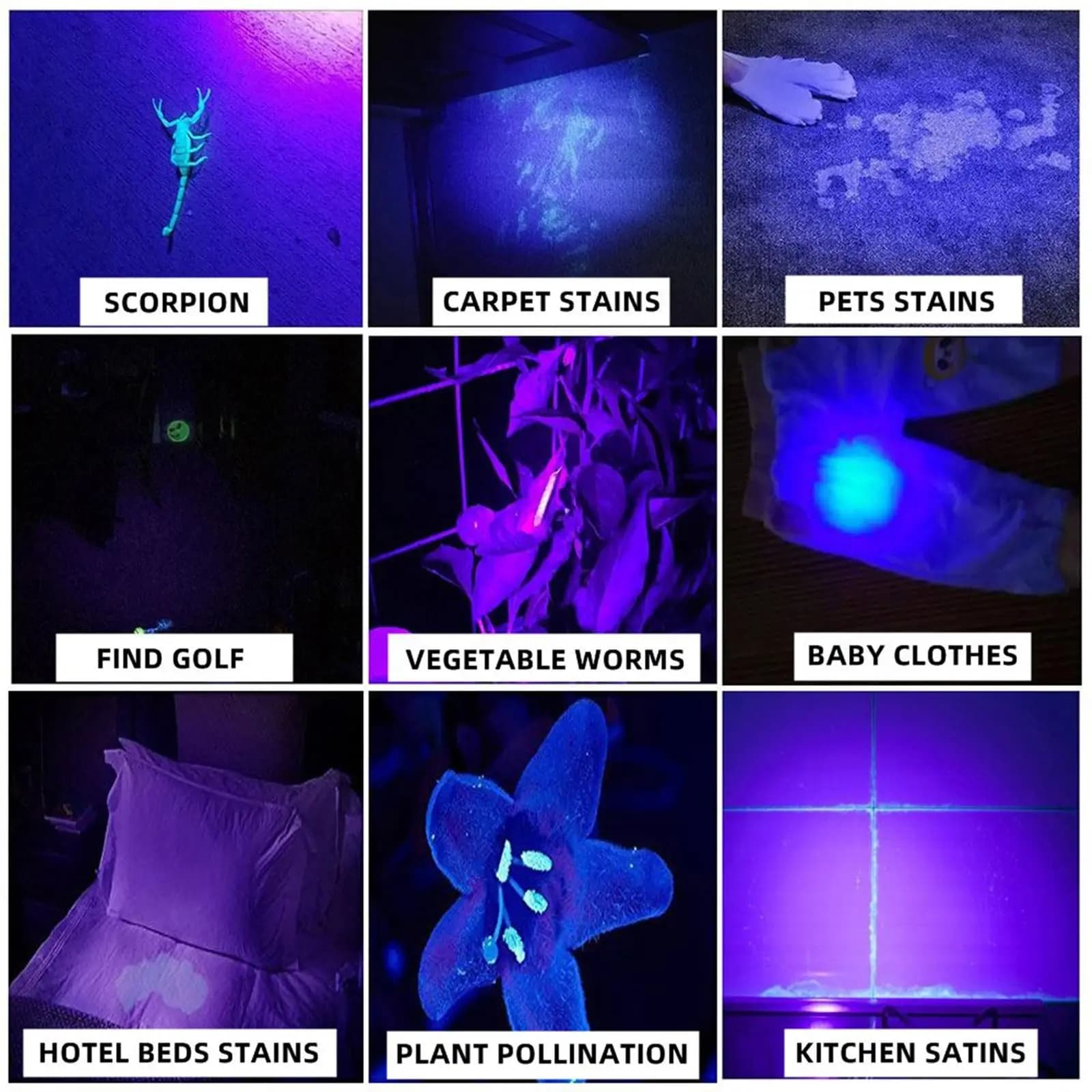 Alonefire SV77 10W 365nm lampe de poche UV lumière noire ultraviolette détecteur de mousse pour anim
