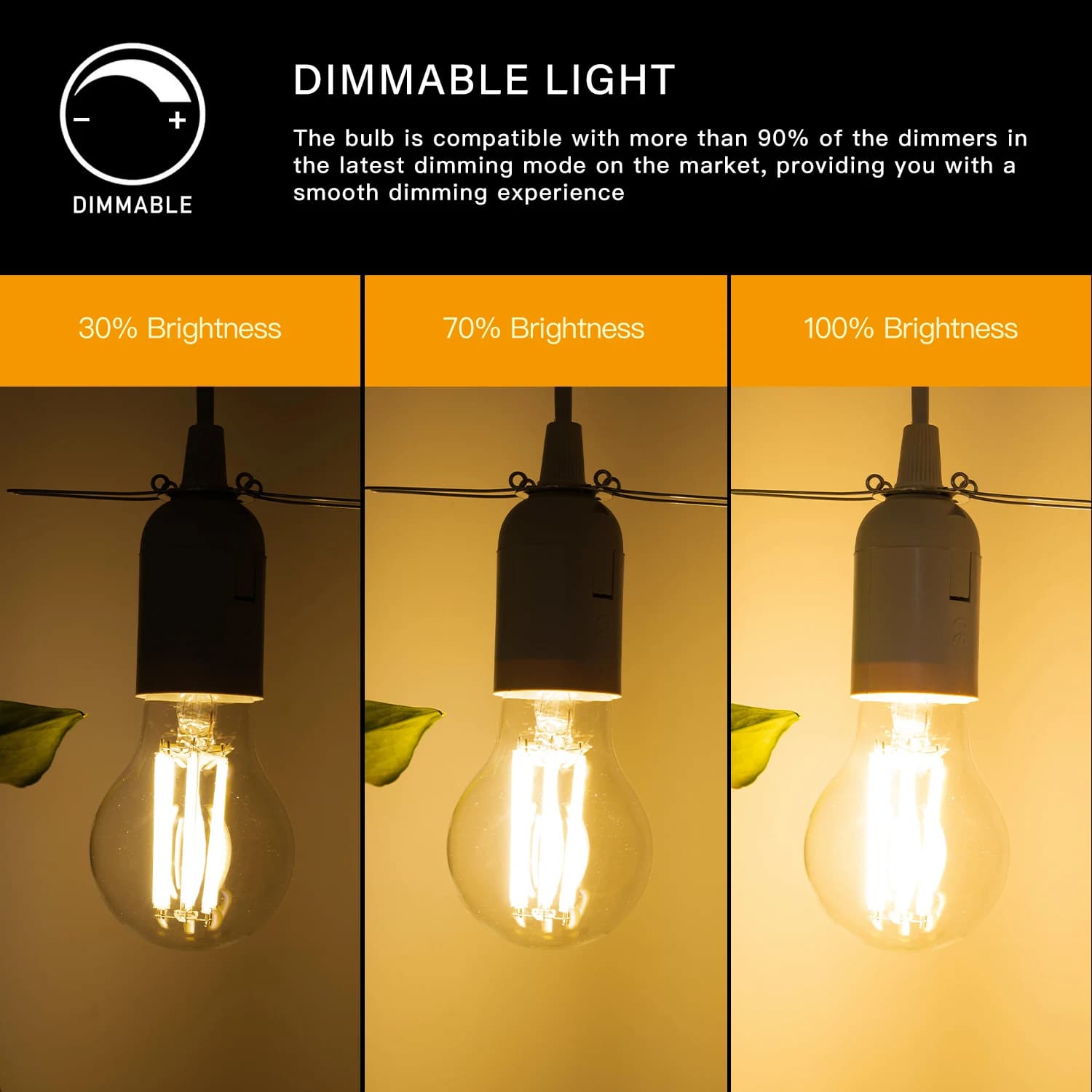 Hcnew A19 E27 Ampoules LED Edison 12W 1521Lumen, lampe à filament à intensité variable, remplacement