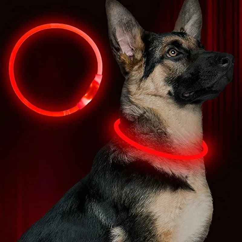 Collier de chien Led Usb collier de Charge lumineux de nuit pour chien de compagnie Led sécurité noc