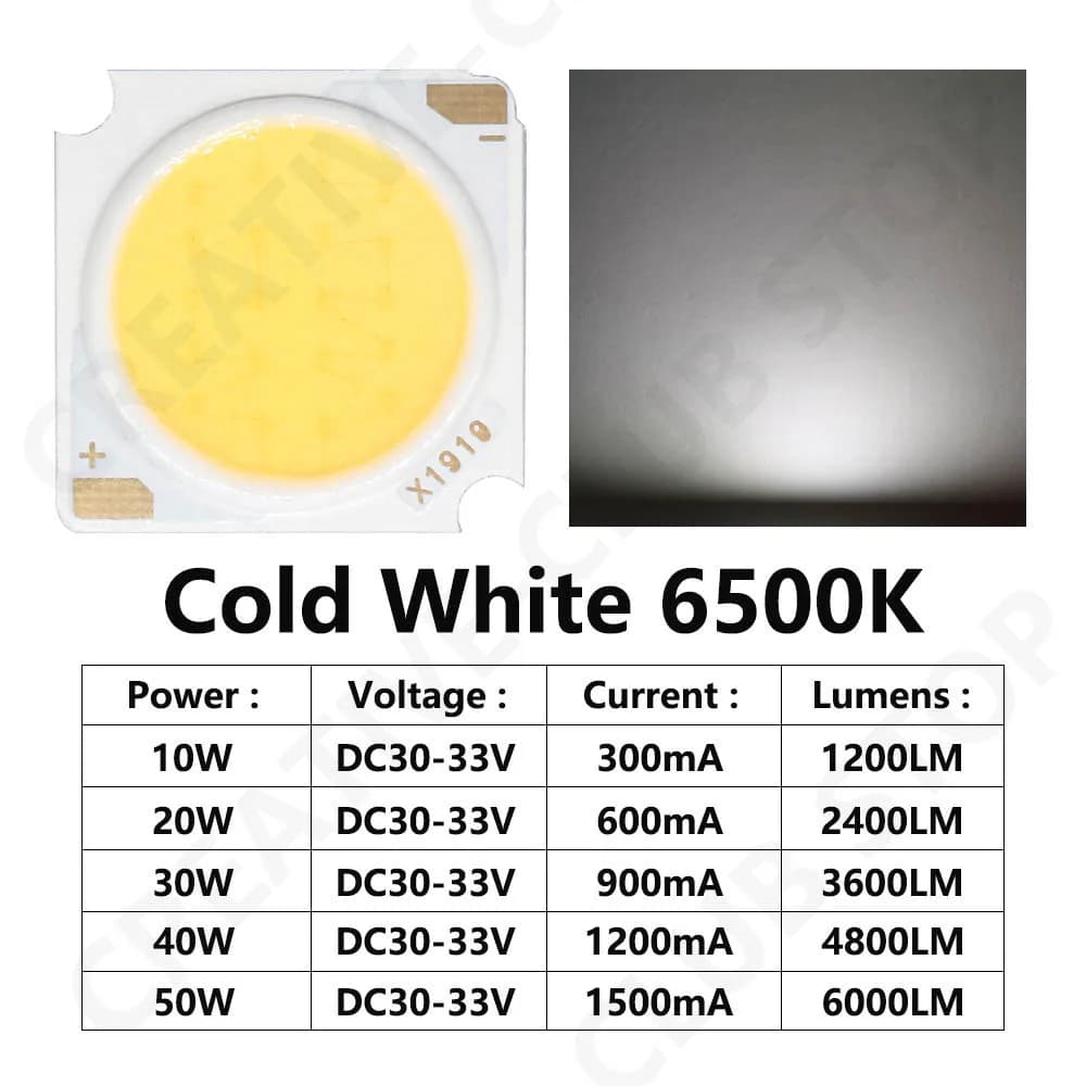 10 pièces 1919 10W 20W 30W 40W LED COB puce Diode électroluminescente importée Bridgelux puce de cri