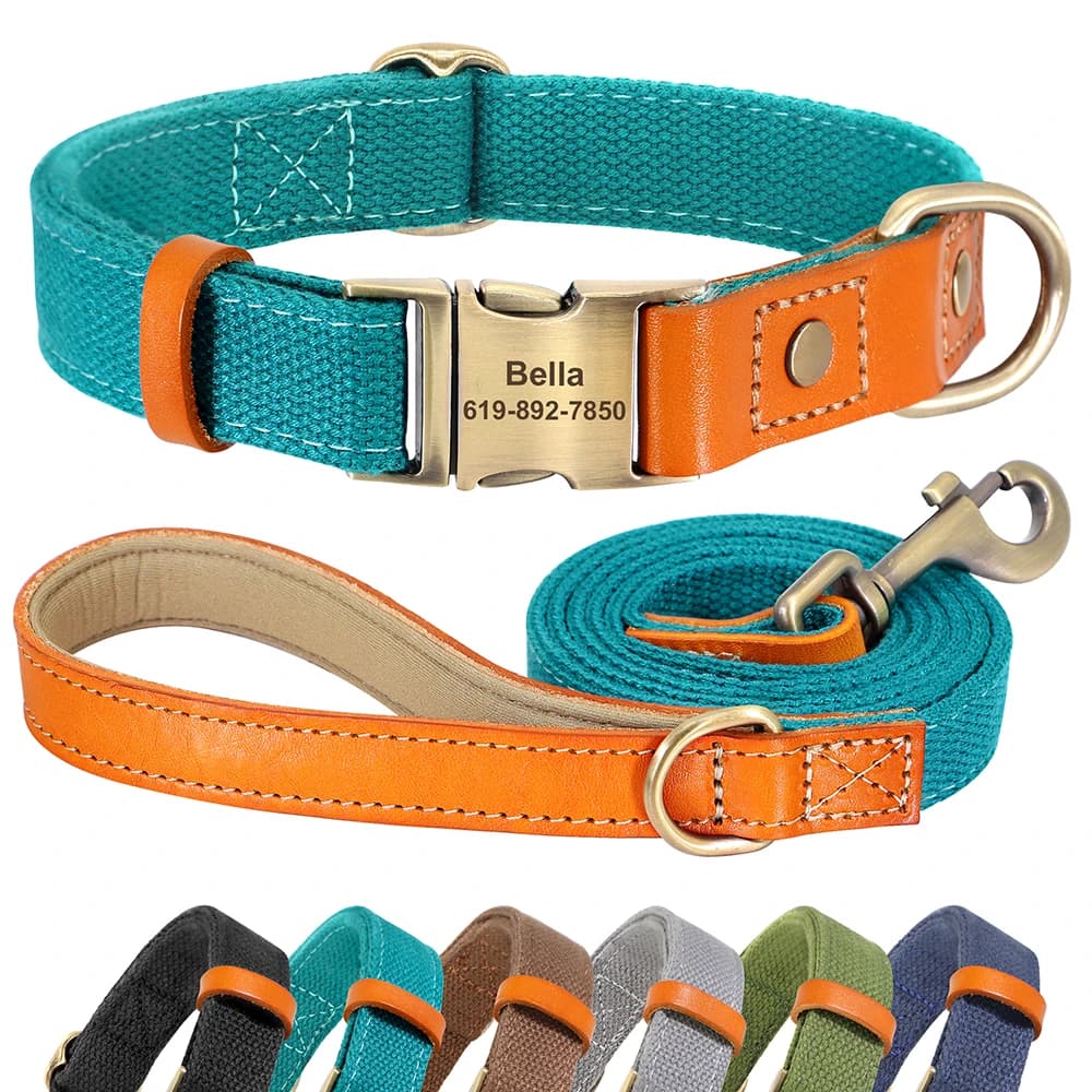 Ensemble de laisse de collier de chien personnalisé, collier de chien en cuir et Nylon, colliers d'é