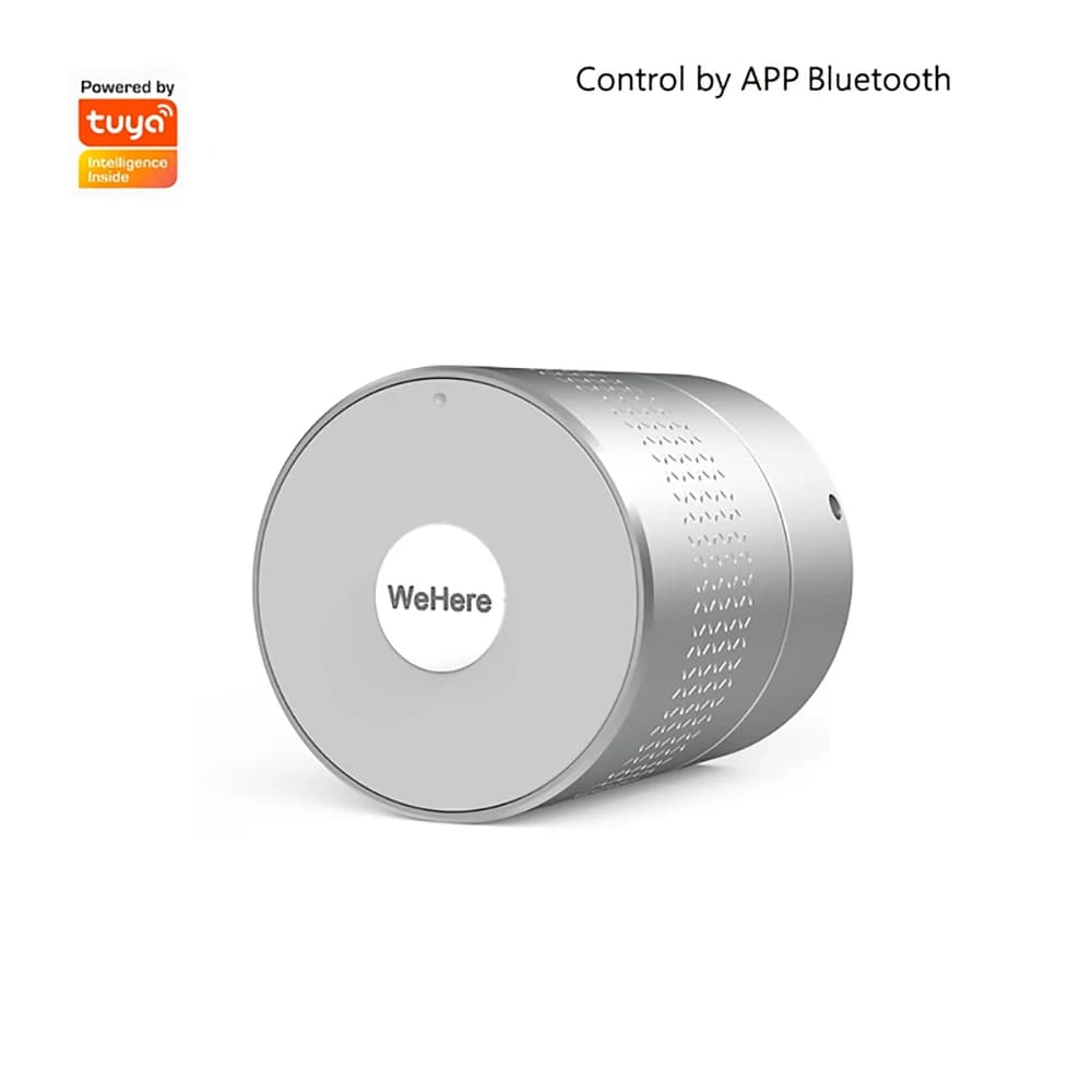 Wehere serrure de porte intelligente Style Nuki pas changer cylindre de serrure Support TUYA WWLock 