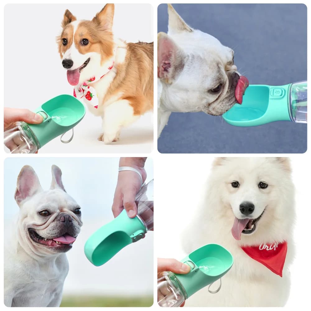 Bouteille d'eau Portable pour chien, pour petits et grands chiens, chat, extérieur, étanche, bols à 