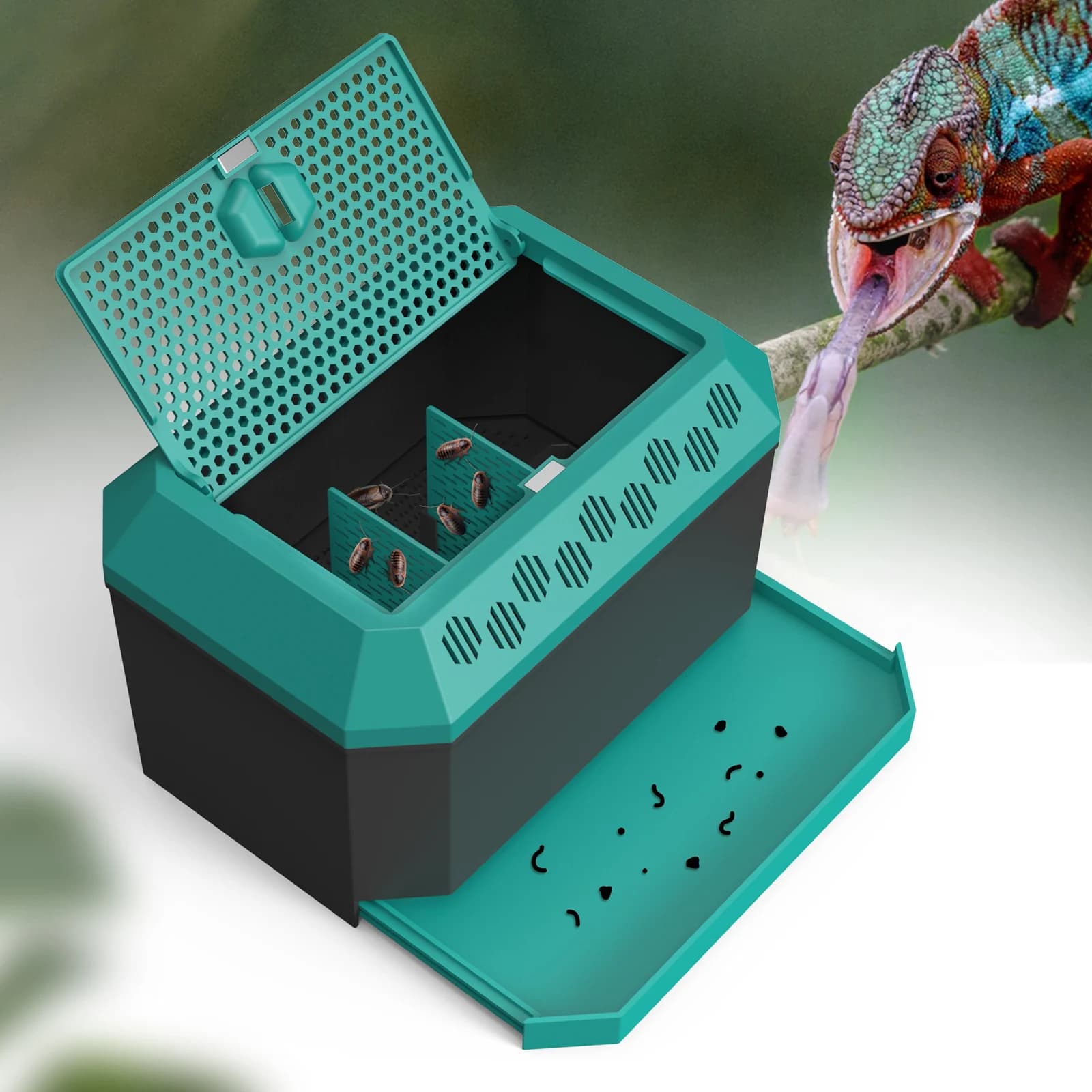 Habitat multi-usages pour insectes, idéal pour les grillons, les blattes Dubia, les vers de pain et 