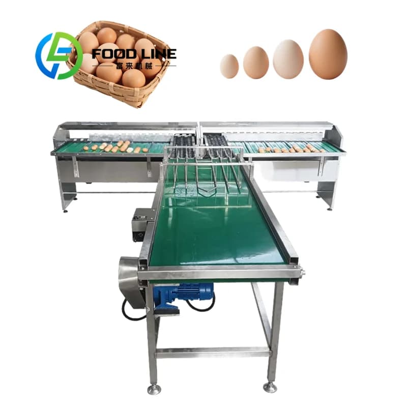 Trieuse d'œufs automatique en matériau de qualité alimentaire, conforme aux normes mondiales d'hygiè