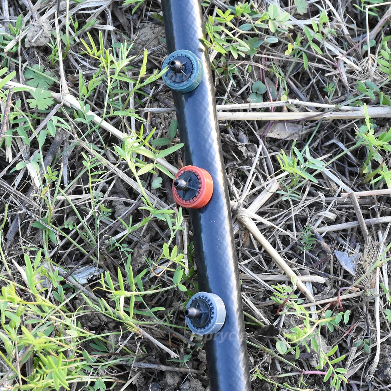SPRYCLE 200 pièces 2L 4L 8L/H émetteur d'irrigation goutte à goutte à compensation de pression goutt