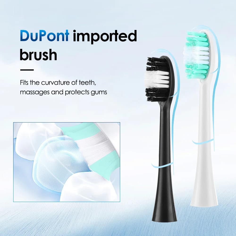 Nettoyeur de dents électrique, détartreur dentaire, brosse à dents à vibration sonique, dissolvant d