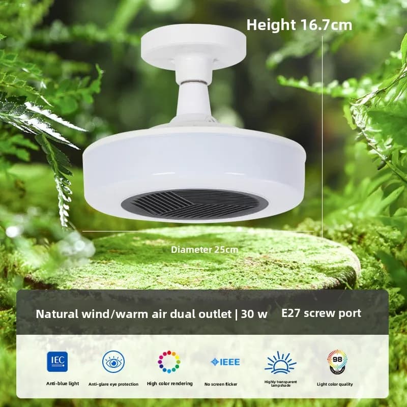 Chauffage de toute la maison, lampe à Air chaud haute puissance, télécommande, gradation E27, chauff