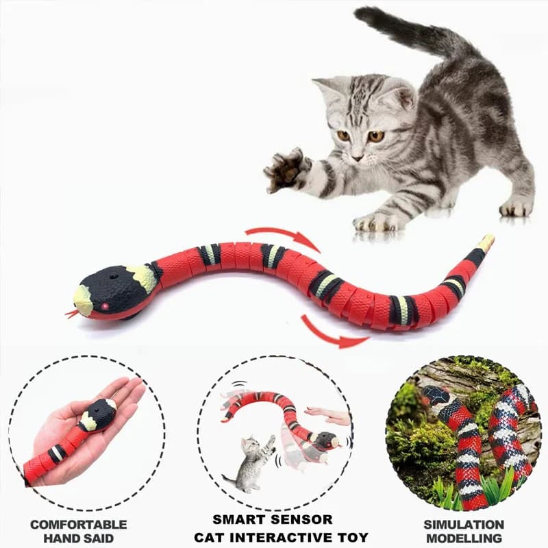 Jouets interactifs électriques pour chats, salle de détection intelligente, chargement USB, accessoi