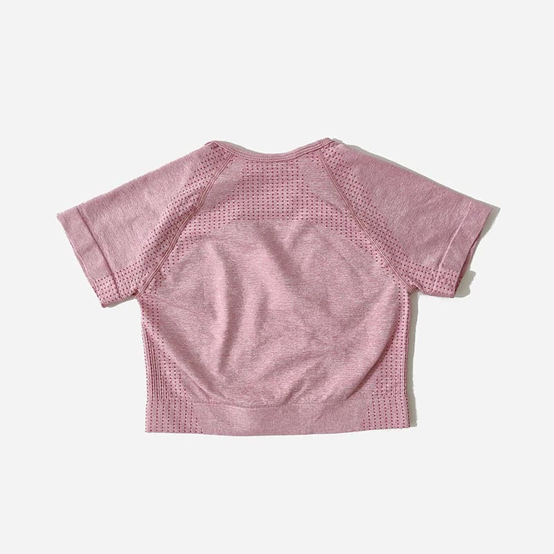 Ensemble de Yoga sans couture pour femmes, haut court, chemise à manches courtes, Short de Fitness, 