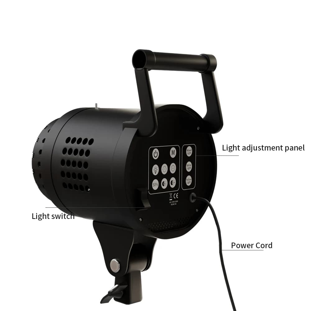 115/135W photographie Bowens éclairage LED 220V Studio vidéo lampe équilibrée lumière du jour Portra