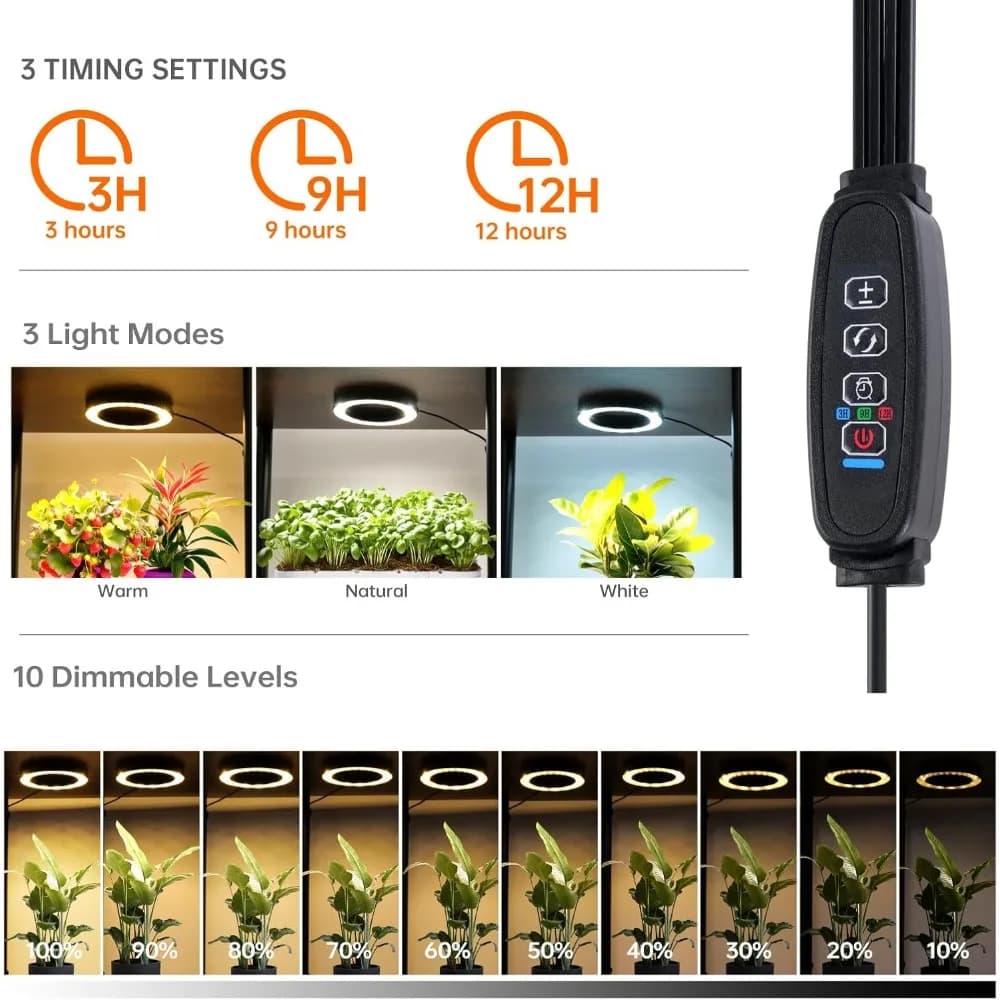 Support pour plantes d'intérieur à 6 niveaux avec lumière de croissance à spectre complet, étagère m