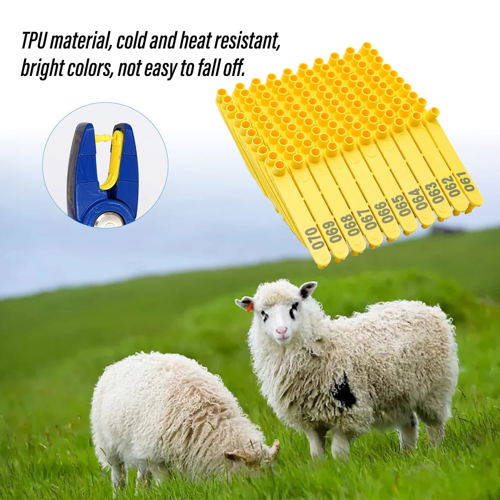 Oreillettes de mouton, 100 pièces, pinces pour étiquette d'oreille, animaux, chien, lapin, matériau 