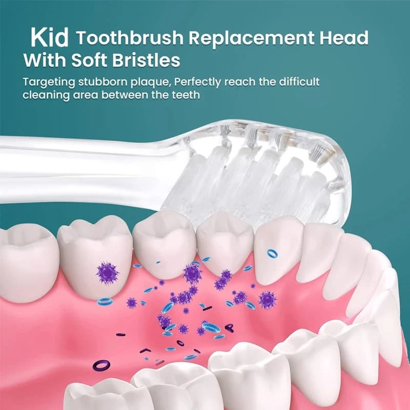 Têtes de rechange pour brosse à dents électrique Seago SG902/SG602, 0-3 ans, soins d'hygiène buccale