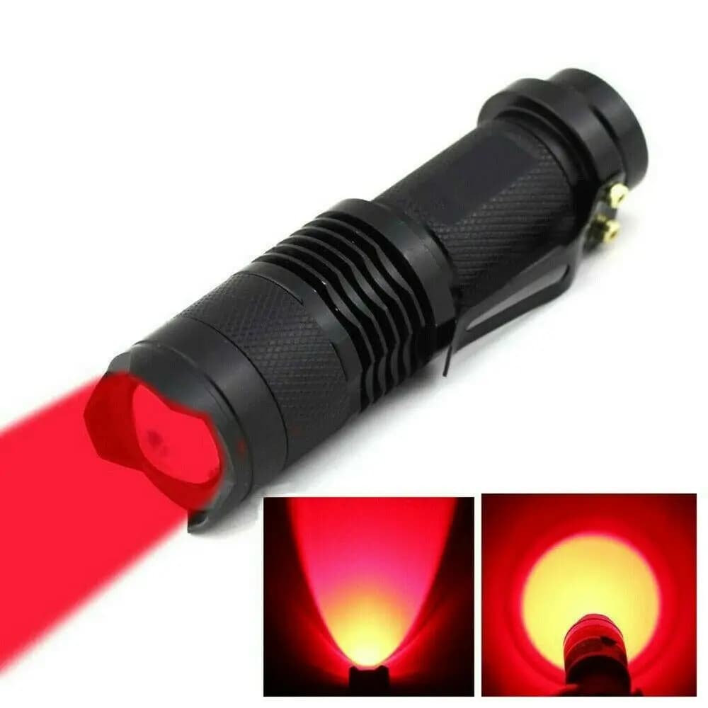 Mini lampe de poche LED Dulflashlights, lumière rouge, bleue, verte, lampe de poche d'urgence, torch