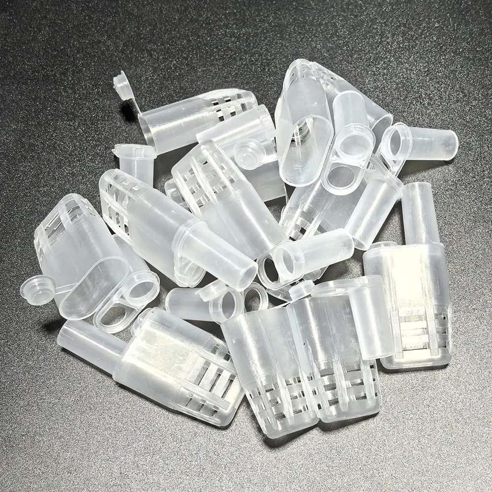 120 pièces abeille reine Cages Protection reine Wangtaipu abeille équipement en plastique blanc sécu
