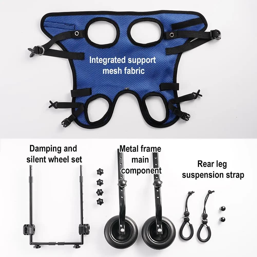 Chariot pour animaux de compagnie, jambe arrière réglable, aide à la mobilité pour chien handicapé, 