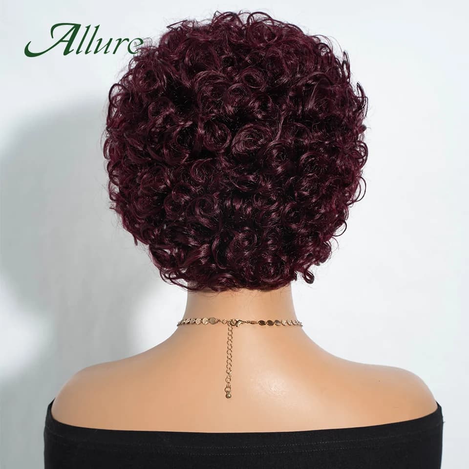 Perruques en cheveux humains Jerry Curly pour femmes noires, perruque courte pixie afro bouclée de 1