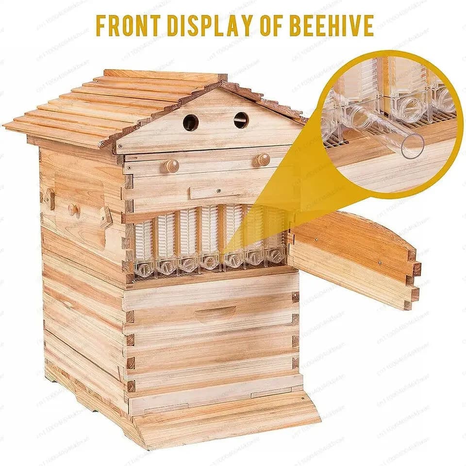 Ensemble complet de ruche à abeilles automatique, système d'apiculture complet pour une récolte faci