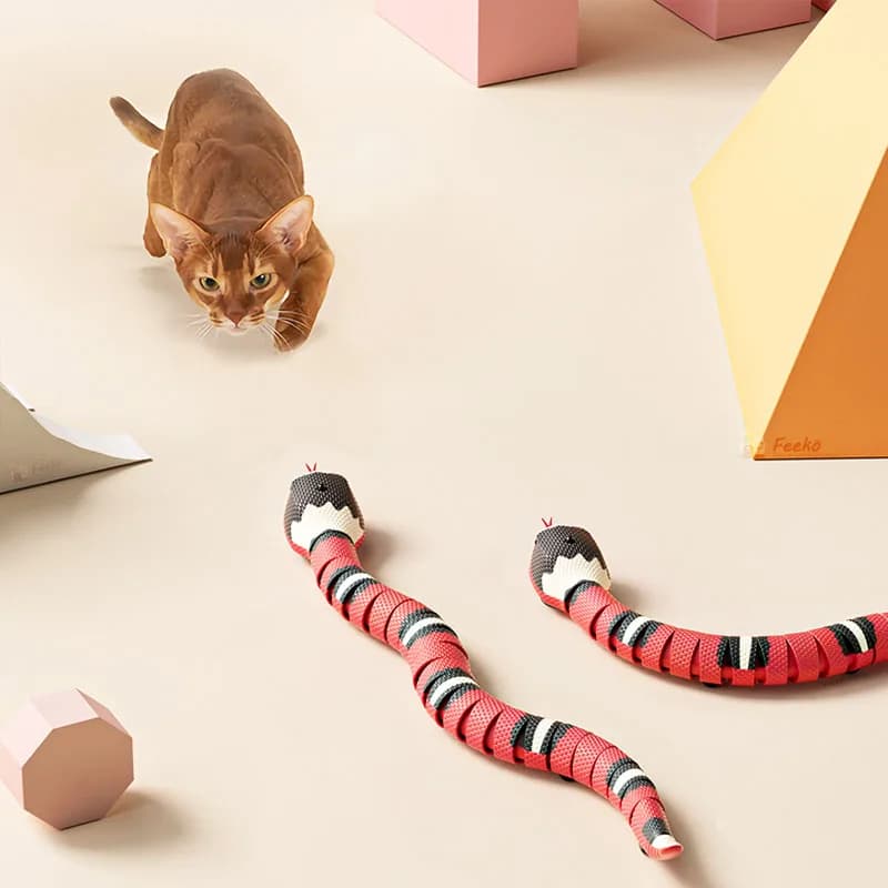 Jouets interactifs électriques pour chats, salle de détection intelligente, chargement USB, accessoi