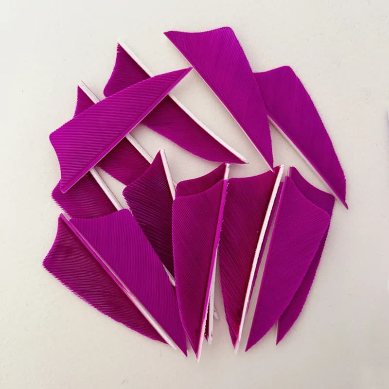50 pièces de plumes de dinde IBOUNFOX de 2 pouces pour l'ajustement des flèches de tir à l'arc, aile