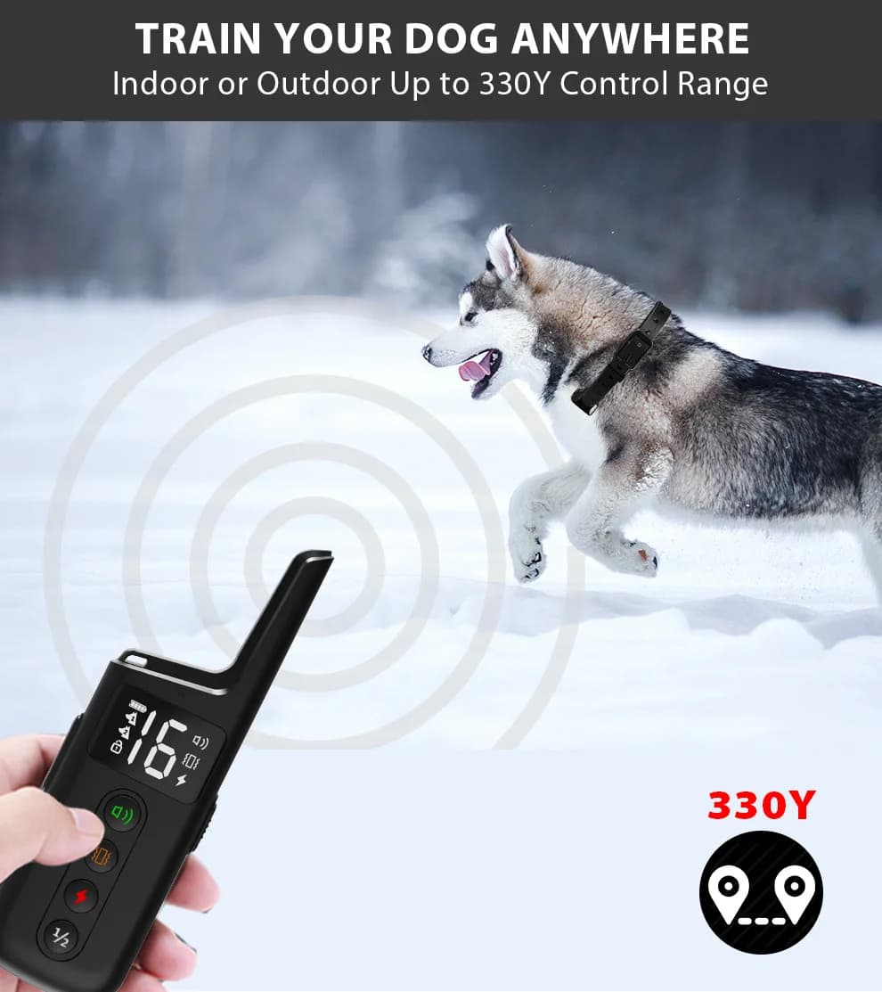 Collier d'Entraînement Surround pour Chien, Anti-Aboiement, Étanche, Rechargeable, Télécommande Élec