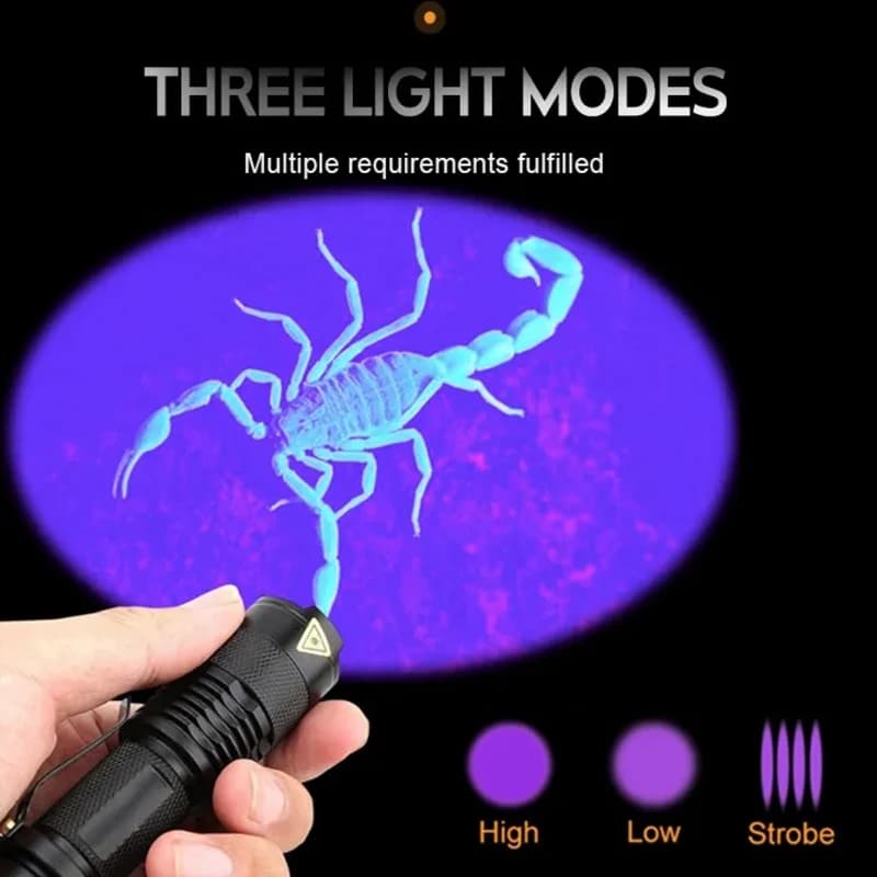Lampe de poche LED UV portable, 365 nm, 395nm, mini torche ultraviolette, étanche, zoomable, verre, 