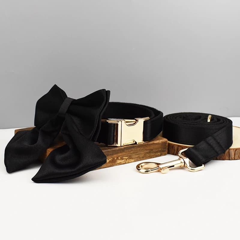Accessoires pour animaux de compagnie : Ensemble collier, laisse et harnais en polyester soyeux de l