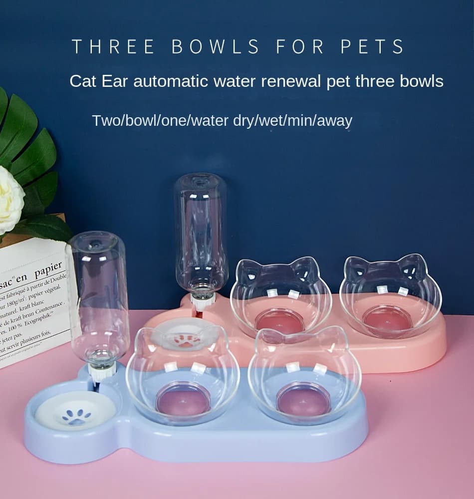 Fournitures pour animaux de compagnie Bols surélevés pour chats et chiens Mangeoires doubles durable