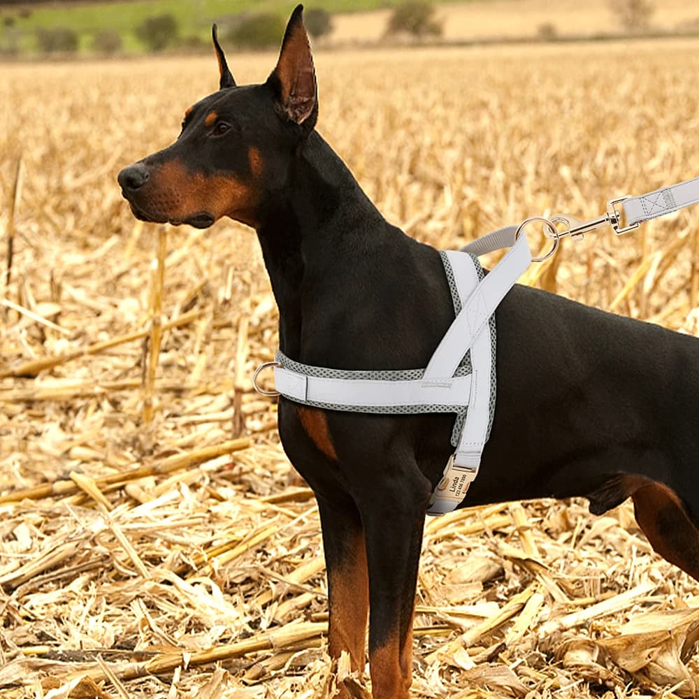 Harnais personnalisé pour grands chiens, gilet réglable en maille gravée en cuir pour animaux de com