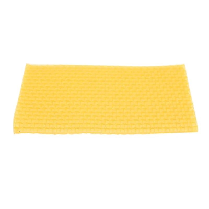 Ruche pour apiculture, 50 pièces, cadre de base en nid d'abeille, ruche de jardin, outils pour l'api