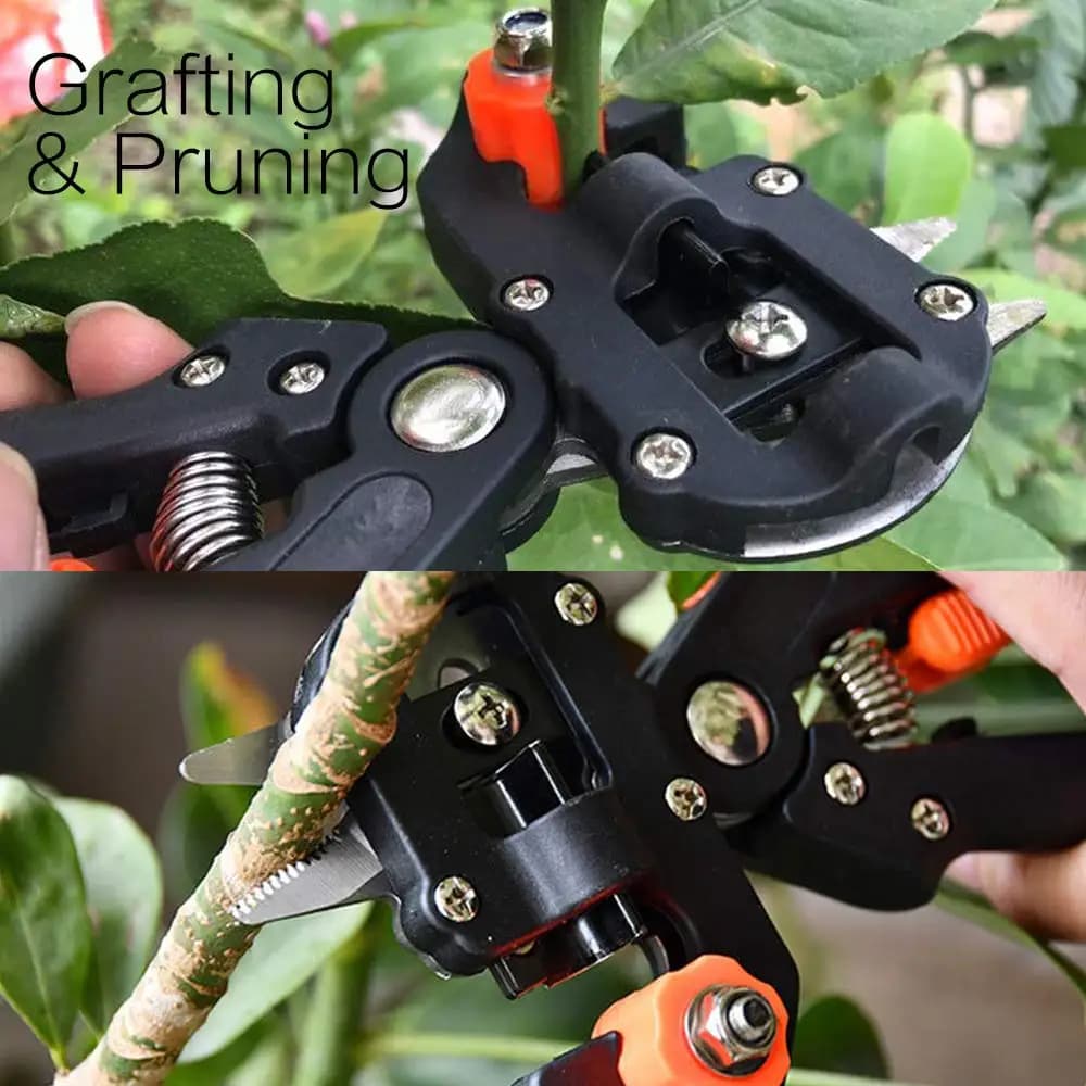 Sécateur de greffage de boîte à outils rouge professionnel, outil de jardin, sécateur de peaux, cise