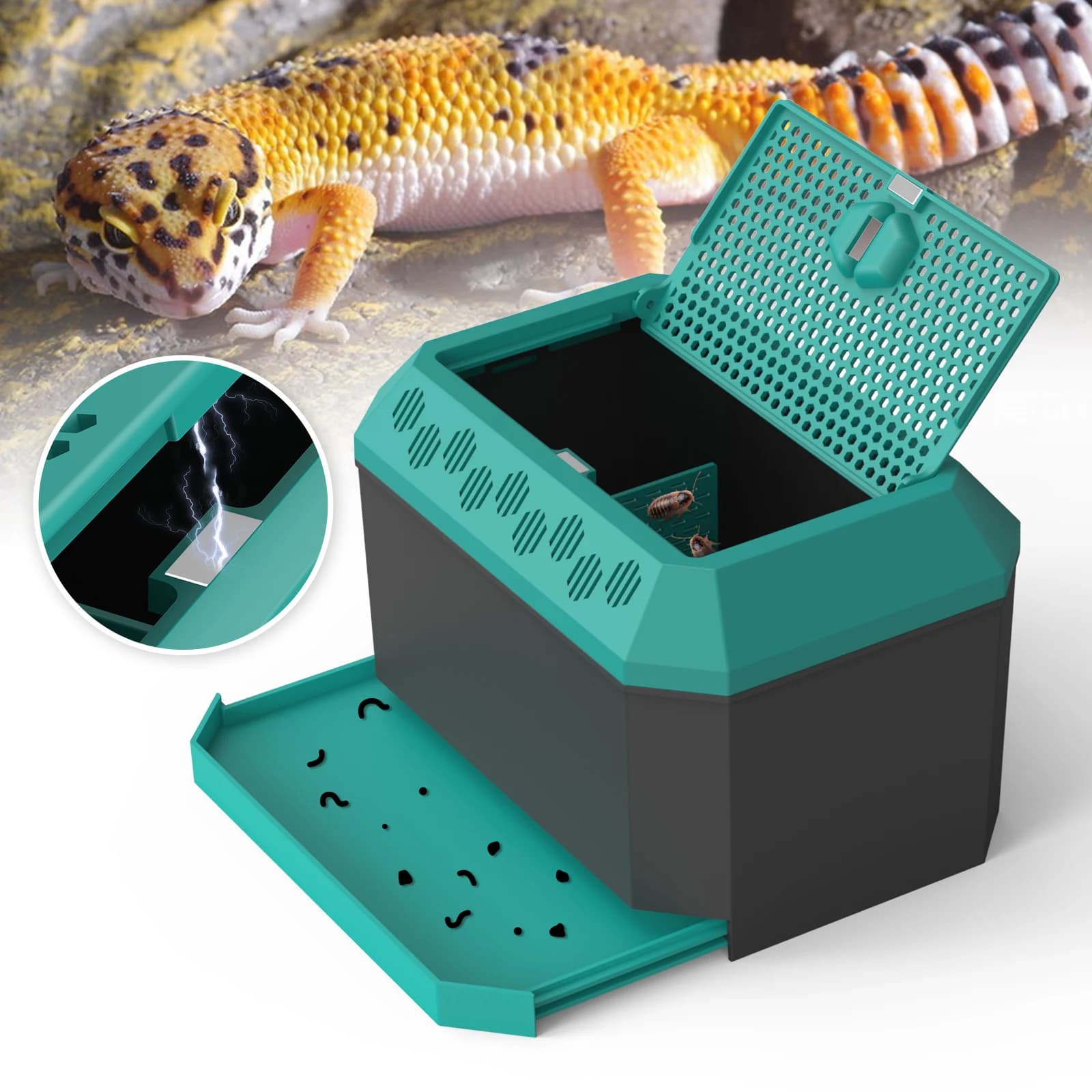 Habitat multi-usages pour insectes, idéal pour les grillons, les blattes Dubia, les vers de pain et 