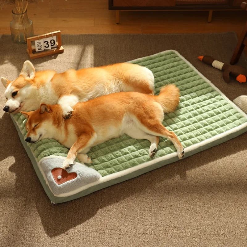 Lits apaisants pour chiens de petite et grande taille, tapis de luxe avec oreiller, housse amovible,