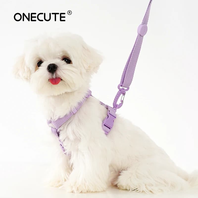 Harnais pour chien, collier pour chien, laisse pour chien, couleur Macarone, accessoires pour chat, 