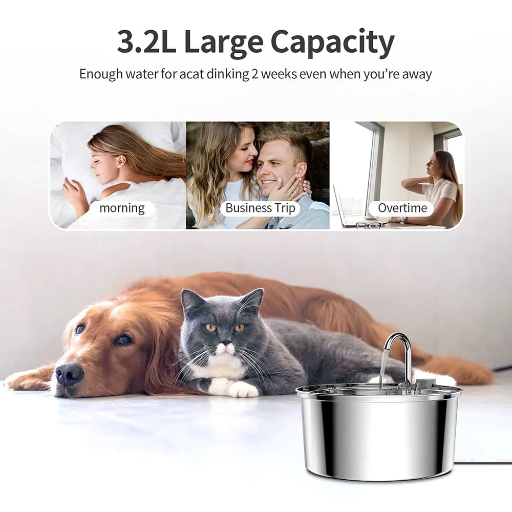 Distributeur d'eau pour animaux de compagnie en acier inoxydable, fontaine d'eau automatique pour ch