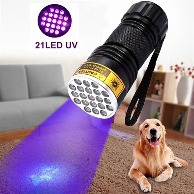 21 LED UV lampe de poche ultraviolette lumière noire 395NM Mini torche lampe Flash pour les taches d